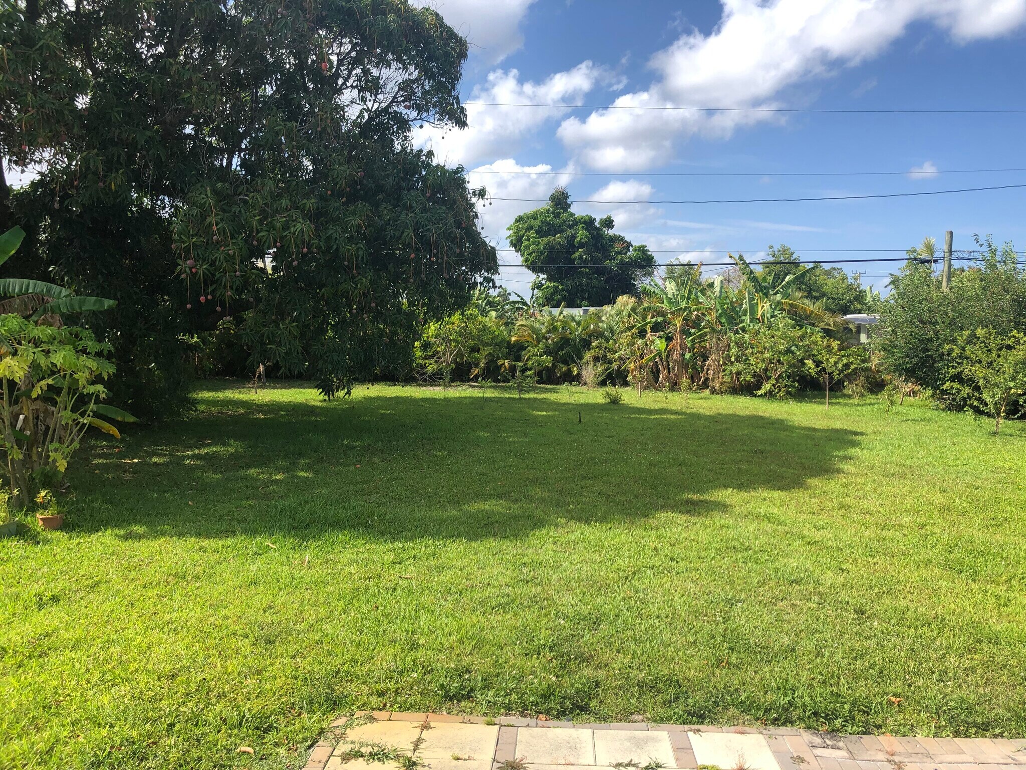 2815 Jackson St, Hollywood, FL à vendre Photo principale– Image 1 sur 8