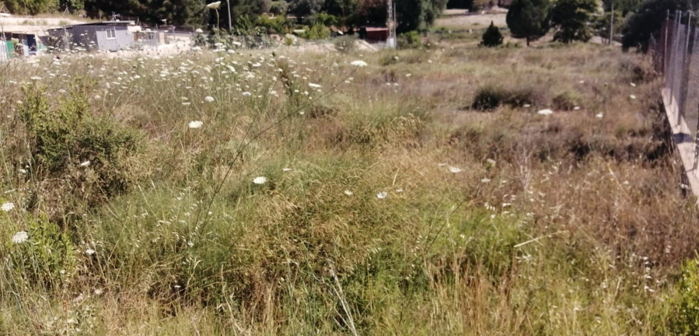 Terrain dans Molina de Segura, Murcia à vendre Plan de site– Image 1 sur 9