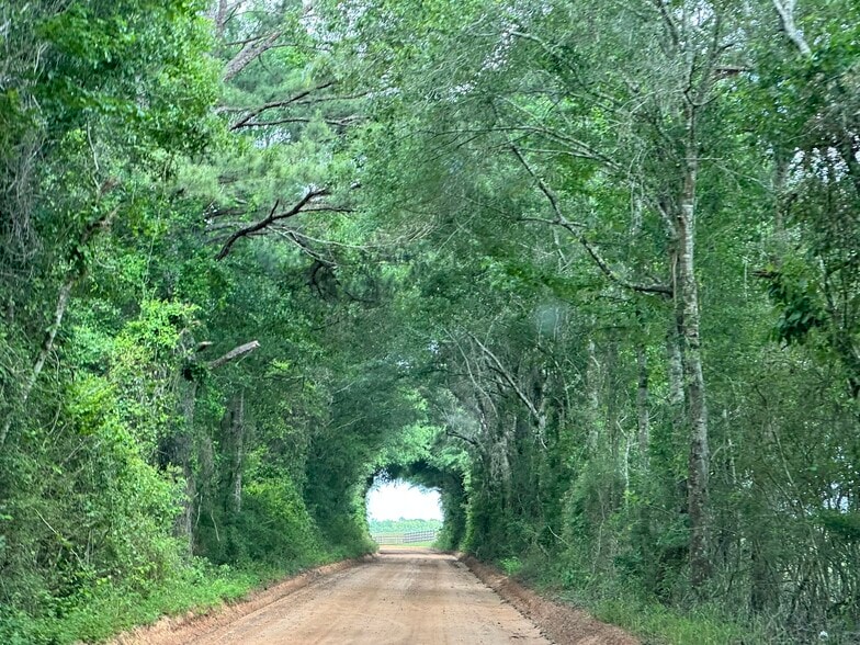 Millside Road, Laurel Hill, FL à vendre - Autre – Image 2 sur 28