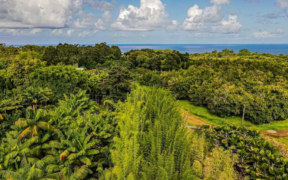 27-2760 Hawaii Belt Rd, Pepeekeo, HI à vendre - Photo principale – Image 1 sur 53