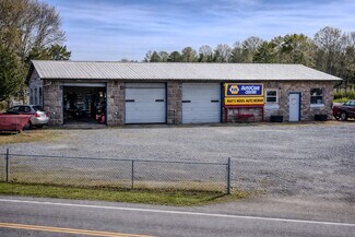 Plus de détails pour 11122 State Highway 58 S Hwy, Decatur, TN - Local d’activités à vendre