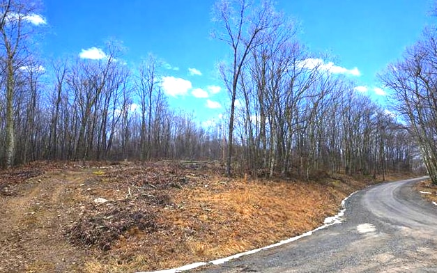 3101 W Teter Creek Rd, Belington, WV à vendre Photo principale– Image 1 sur 2