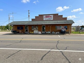 Plus de détails pour 8925 S Kasson St, Cedar, MI - Local commercial à vendre