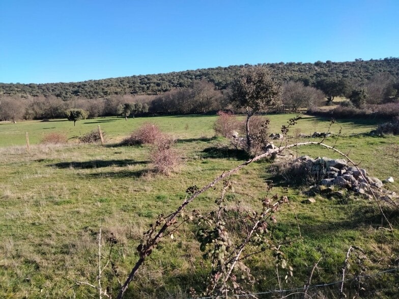 Terrain dans Encina de San Silvestre, Salamanca à louer - Plan de site – Image 3 sur 5