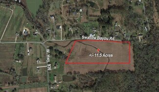 Plus de détails pour Swallow Bayou Rd, Saint Amant, LA - Terrain à vendre