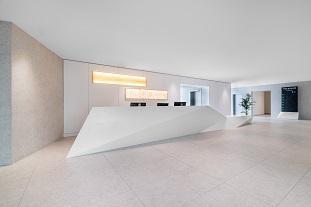 1 Esplanade Miriam Makeba, Villeurbanne à louer - Photo de l’immeuble – Image 3 sur 10