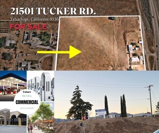 Plus de détails pour 21501 Tucker Rd, Tehachapi, CA - Terrain à vendre