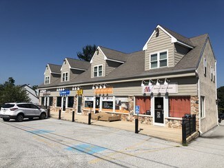 Plus de détails pour 391 Lancaster Ave, Frazer, PA - Bureau/Local commercial à louer