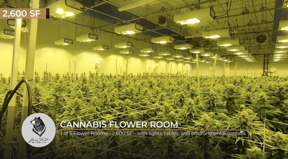 Cannabis Industry Opp. on Kelly Road portefeuille de 2 biens à vendre sur LoopNet.fr - Photo intérieure – Image 3 sur 13