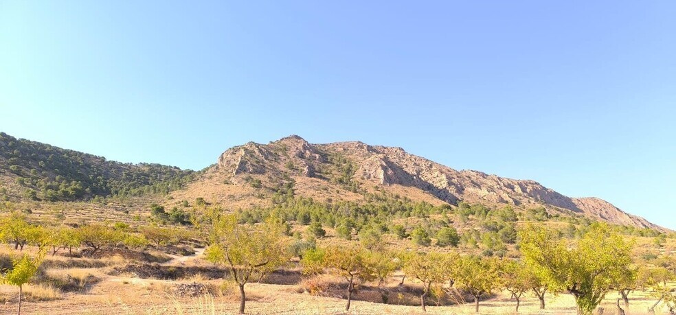 Terrain dans Algueña, Alicante à vendre - Photo de l’immeuble – Image 3 sur 4