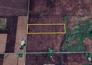 Plus de détails pour 39.29± AC Breen Road, Elwood, IL - Terrain à vendre