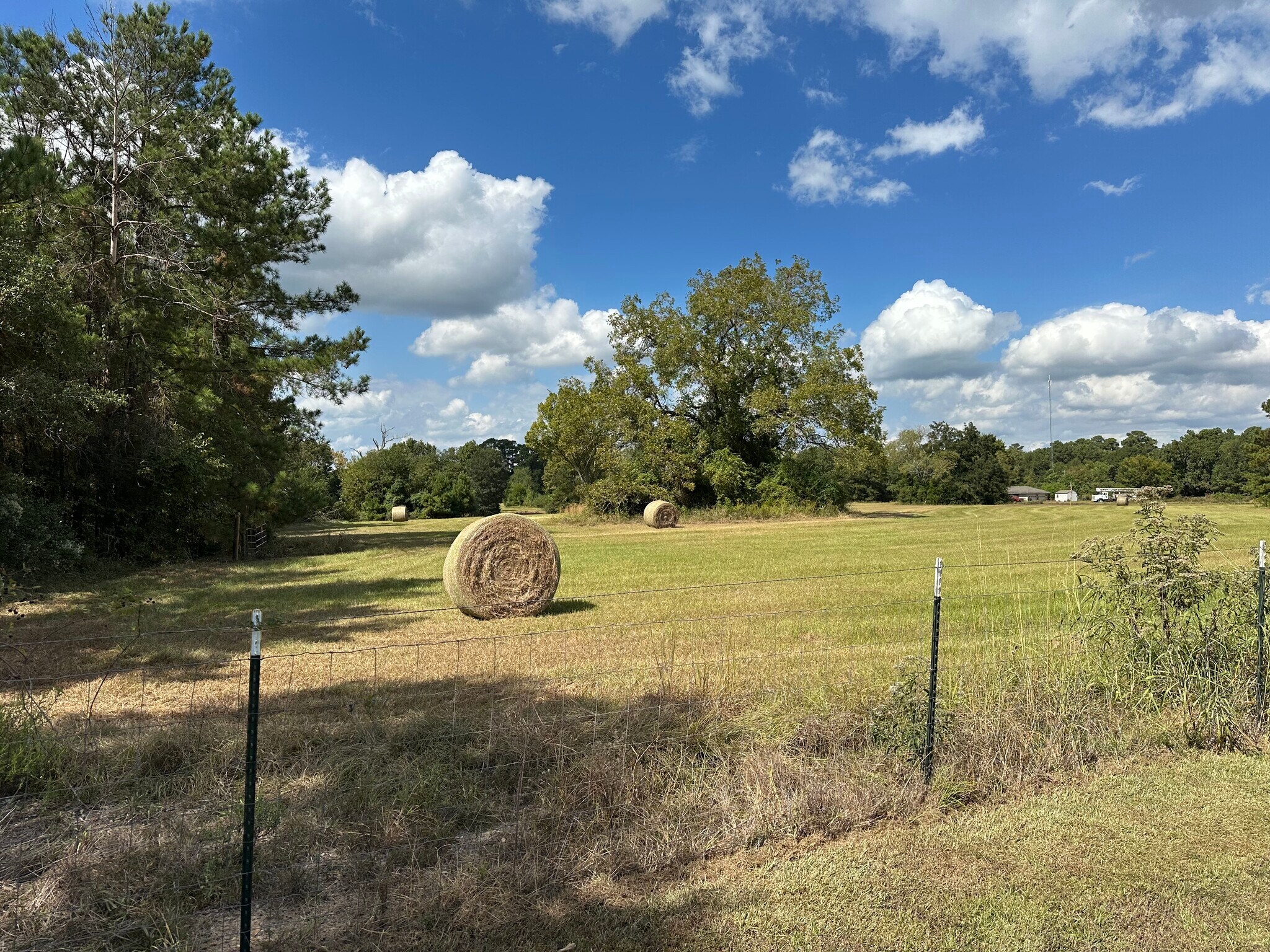 11 AC West Danville Road, Willis, TX à vendre Photo de l’immeuble– Image 1 sur 9