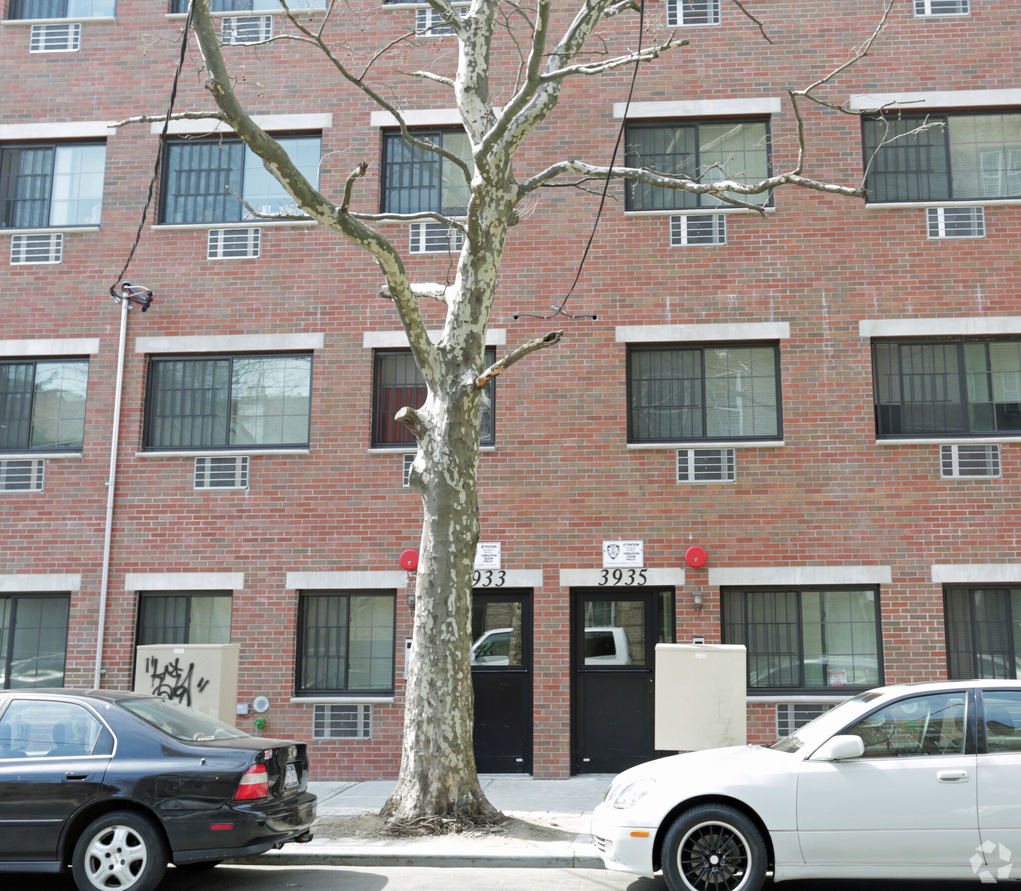 3933-3935 Carpenter, Bronx, NY à vendre Photo de l’immeuble– Image 1 sur 6