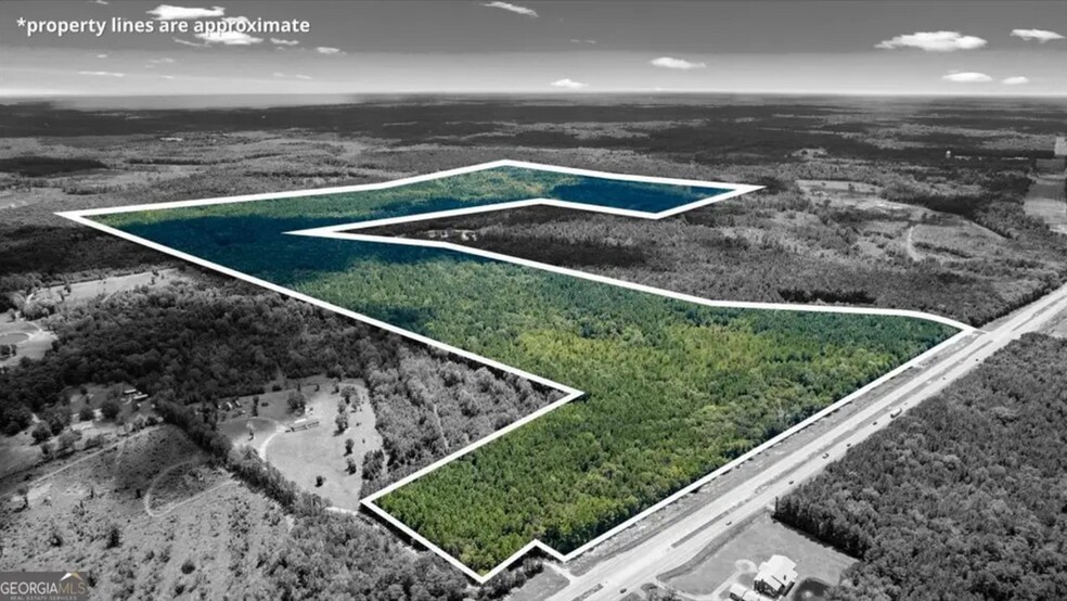 262.44 AC Leroy Coffer hwy, Fleming, GA à vendre - Photo de l’immeuble – Image 2 sur 4