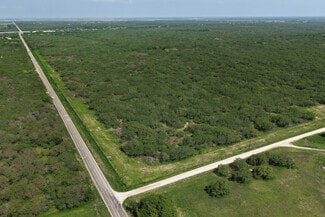 Plus de détails pour 160 S County Road 1040, Kingsville, TX - Terrain à vendre
