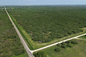 Plus de détails pour 160 S County Road 1040, Kingsville, TX - Terrain à vendre
