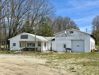 Plus de détails pour 6390 N Comstock Ave, Hesperia, MI - Local commercial à vendre