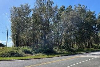 Plus de détails pour SW SR-47, Lake City, FL - Terrain à vendre