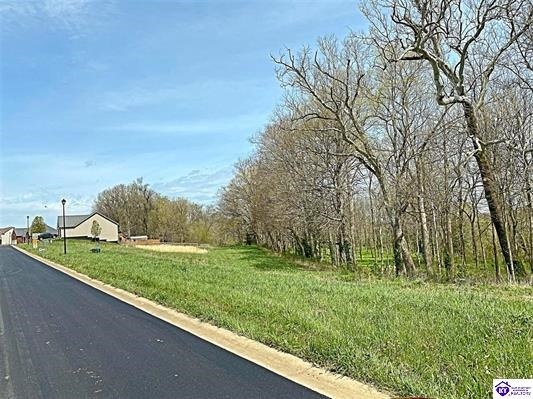 Sawgrass Ave, Vine Grove, KY à vendre Photo principale– Image 1 sur 4