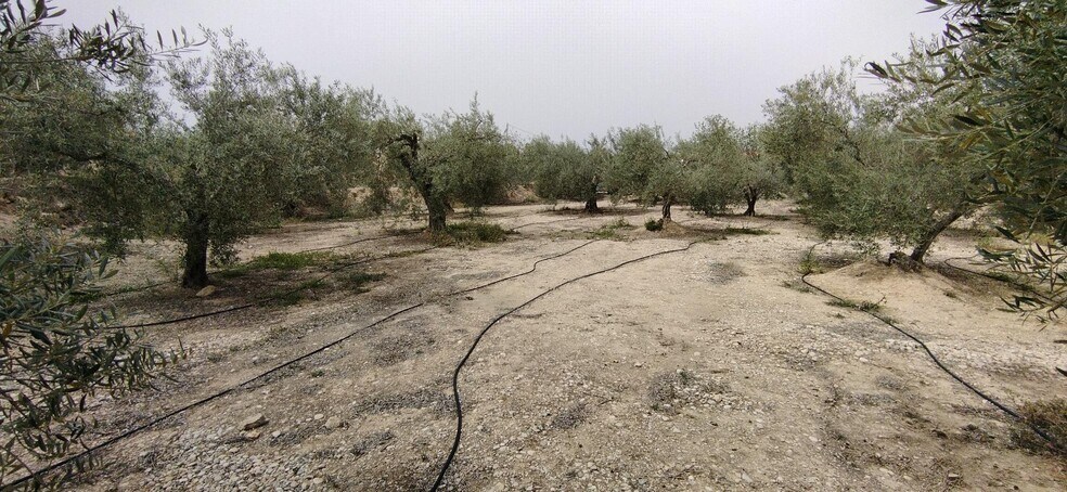 Terrain dans Calasparra, Murcia à vendre - Photo de l’immeuble – Image 1 sur 19