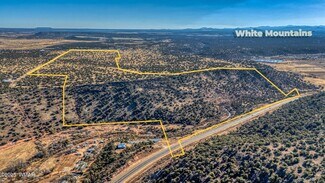 Plus de détails pour TBD Shumway Rd TBD Shumway Road, Show Low, AZ - Terrain à vendre