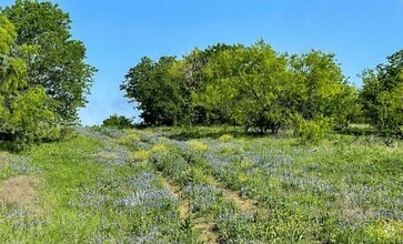 3111 Koscher Dr, Cedar Hill, TX - Vue aérienne  vue de carte - Image1