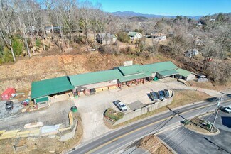 Plus de détails pour 176 Old Ranger Rd, Murphy, NC - Local commercial à vendre