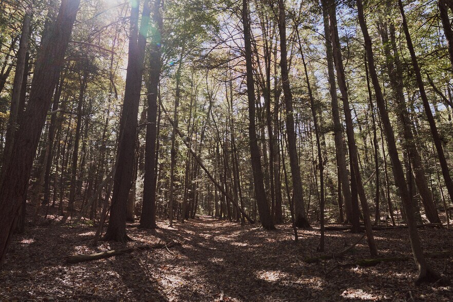 1296 Flatbush Rd, Kingston, NY à vendre - Photo de l’immeuble – Image 3 sur 12