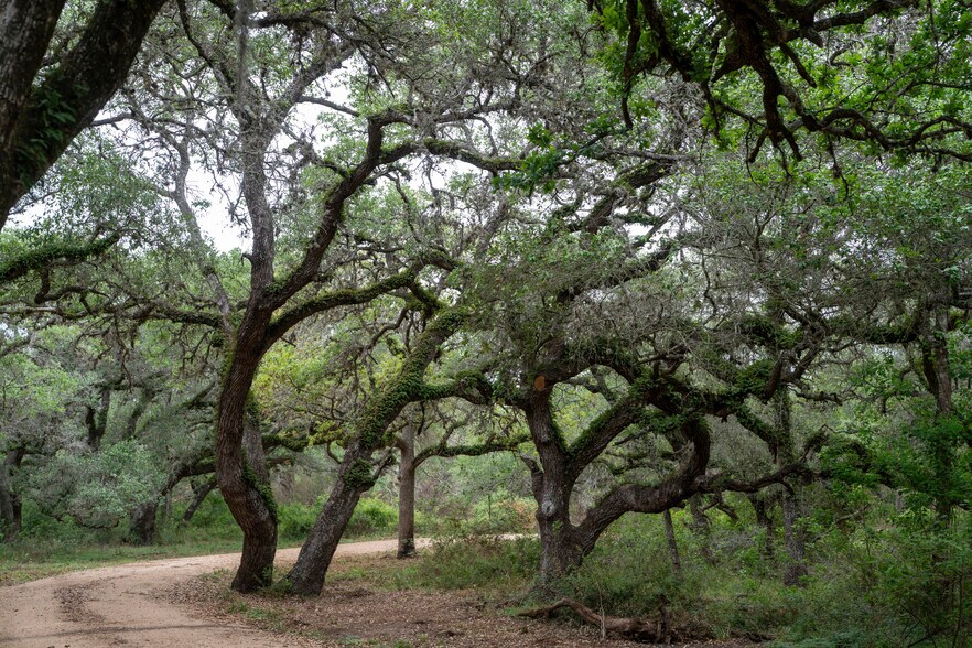 CR 19, Hallettsville, TX à vendre - Photo de l’immeuble – Image 3 sur 46