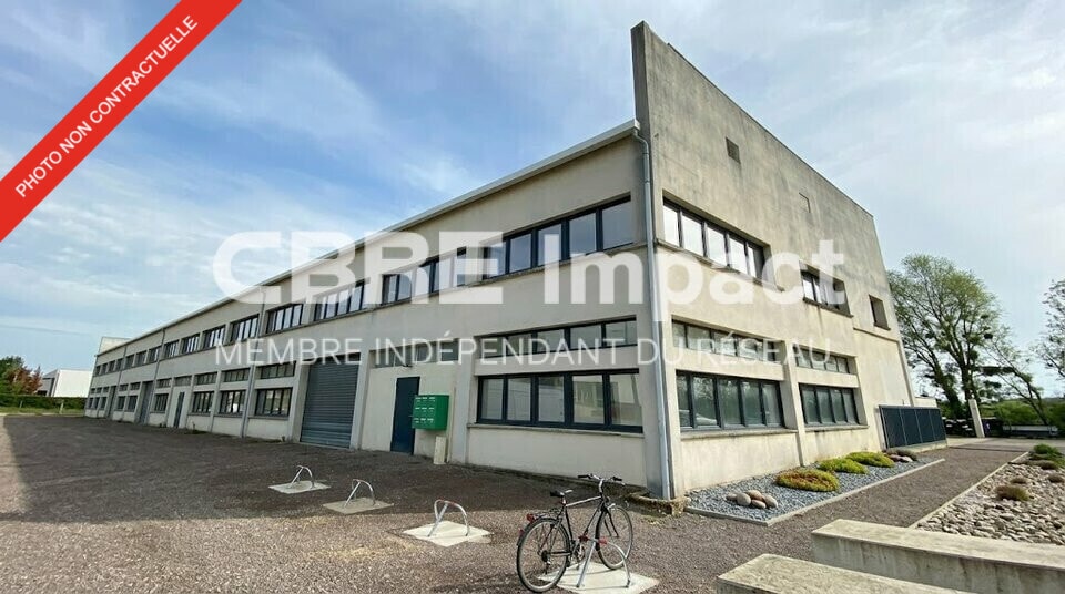 Local d'activités dans Ladoix Serrigny à vendre - Photo de l’immeuble – Image 1 sur 12