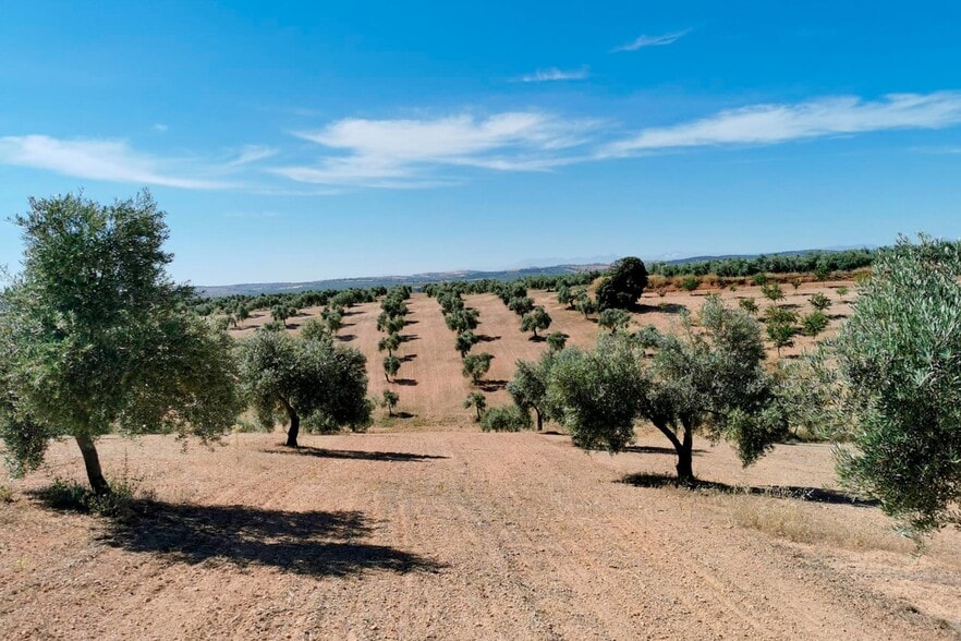 Llano Salviar Polígono, 13, Parcela: 20, Huelma, Jaén à vendre - Aérien – Image 2 sur 6