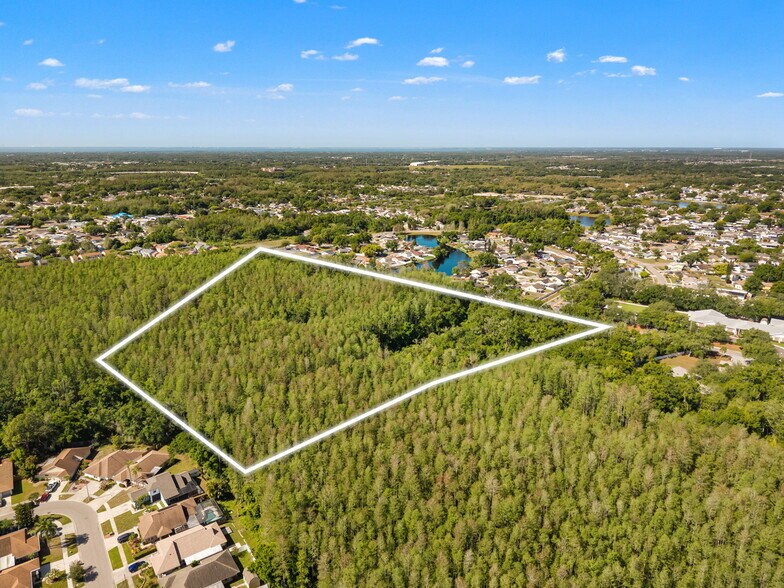 12591 Henderson Rd, Tampa, FL à vendre - Photo de l’immeuble – Image 3 sur 6
