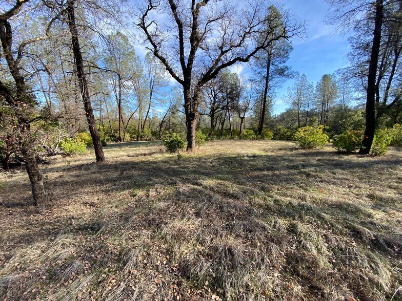 15785 Placer ct, Corning, CA à vendre - Photo de l’immeuble – Image 3 sur 24