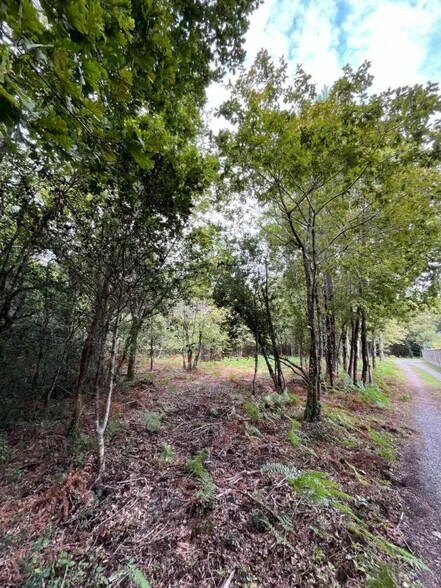Terrain dans Sanguinet à vendre - Photo de l’immeuble – Image 3 sur 4