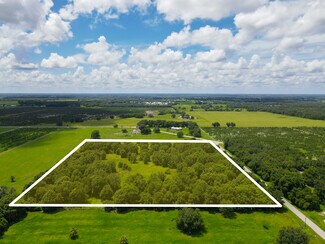 Plus de détails pour 0 Manley, Wauchula, FL - Terrain à vendre