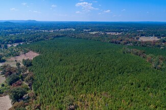 Plus de détails pour Highway 40, Wilsonville, AL - Terrain à vendre