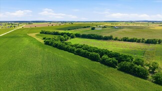 Plus de détails pour County Road 319, Granger, TX - Terrain à vendre