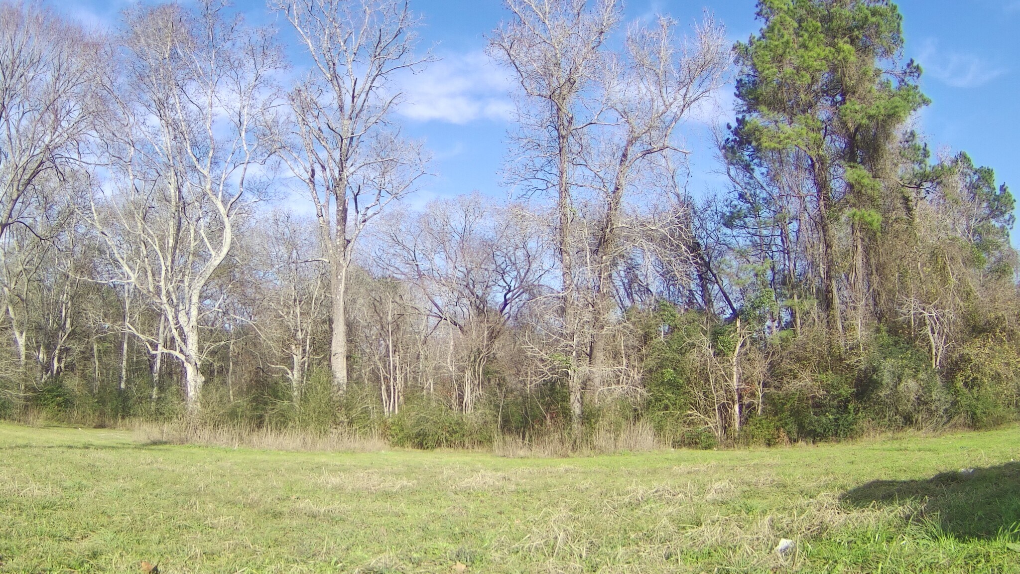 328 W FM 1988, Goodrich, TX à vendre Photo de l’immeuble– Image 1 sur 3