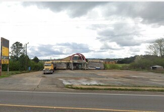 Plus de détails pour 35160 AL Highway 21, Talladega, AL - Terrain à vendre