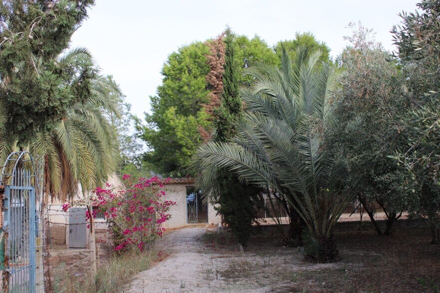 Terrain dans Molina de Segura, Murcia à vendre - Photo de l’immeuble – Image 1 sur 14