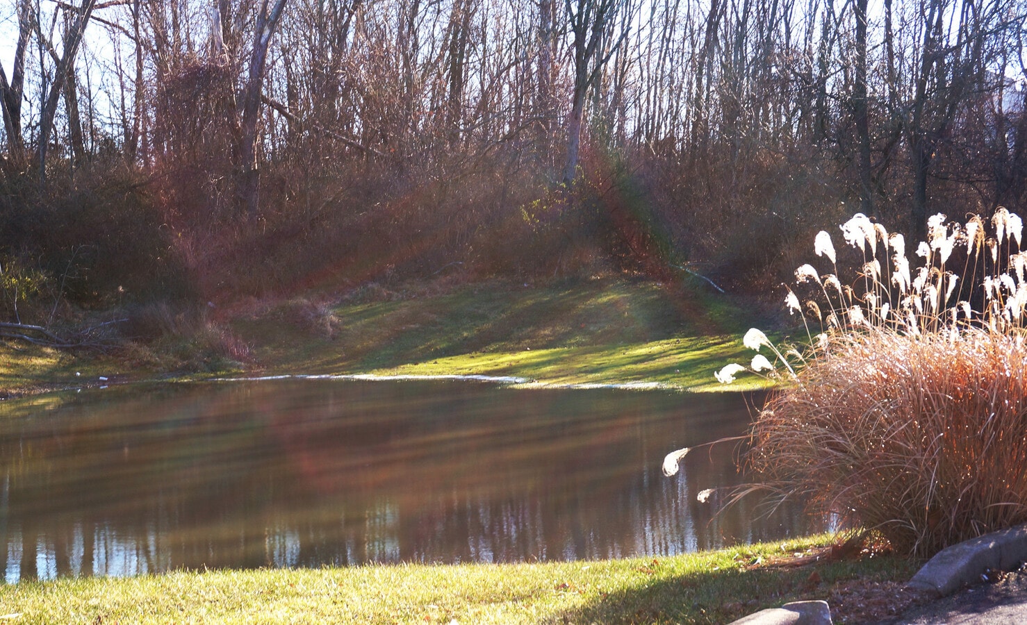 View Photo