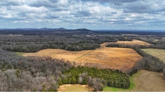 Plus de détails pour 0 Bunker Hill Rd., Eagleville, TN - Terrain à vendre