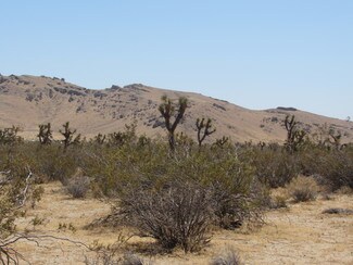 Plus de détails pour Gibbs Ave, Mojave, CA - Terrain à vendre