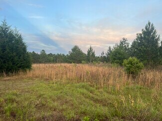 Plus de détails pour 853 Giddens Rd, Ashburn, GA - Terrain à vendre