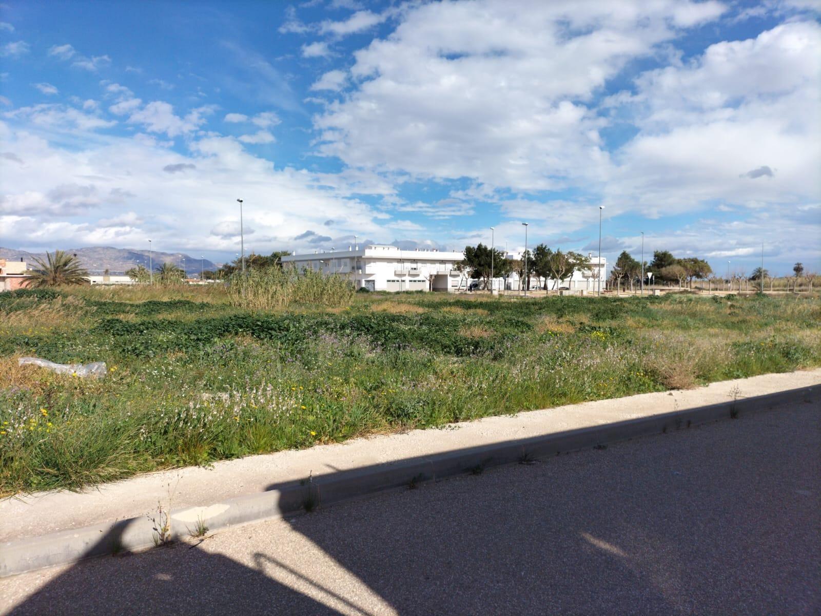 Terrain dans Cox, Alicante à vendre Photo de l’immeuble– Image 1 sur 5