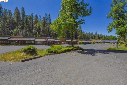 18713 Tiffeni Dr, Twain Harte, CA à vendre - Photo de l’immeuble – Image 1 sur 1
