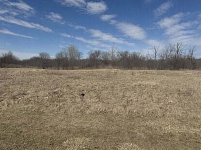 39520 N Green Bay Rd, Beach Park, IL à vendre Photo de l’immeuble– Image 1 sur 2