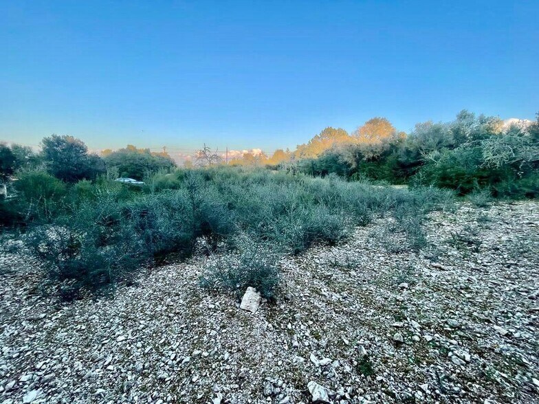 Terrain dans Manacor, Islas Baleares à vendre - Plan de site – Image 1 sur 5