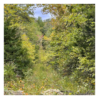 Plus de détails pour 2896 State Highway YY, Shell Knob, MO - Terrain à vendre
