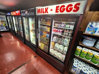 Plus de détails pour 17275 Caberfae Hwy, Wellston, MI - Local commercial à vendre